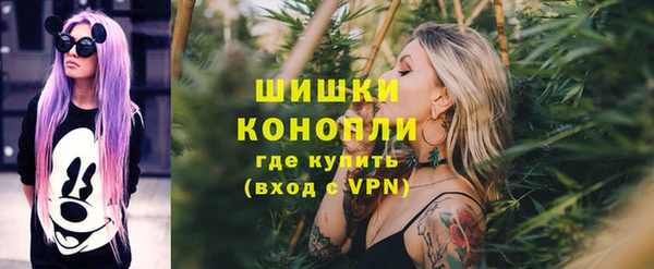 тгк Новокубанск